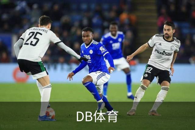 DB体育公司介绍图片